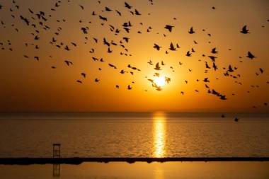 Doubletree by Hilton Van