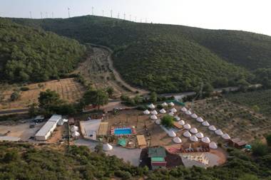 İnto the wild glamping