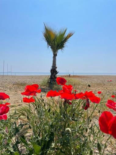 NOVA PORT Boutique Hotel