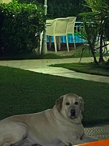 Belka Golf Residence b7