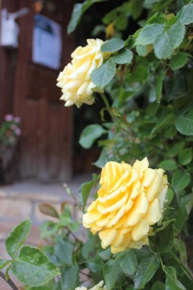 Avcıoğlu Konak Otel