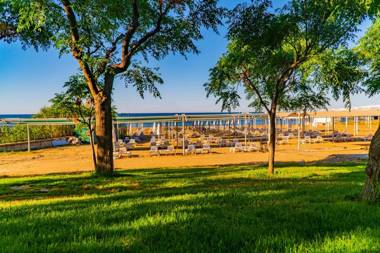 Royal Atlantis Spa & Resort