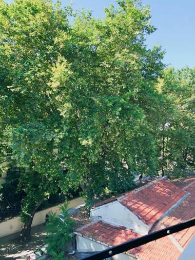 Le Safran Suite Hotel