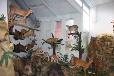 İstanbul Airport Durusu Club Hotel