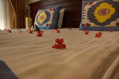 The Magnaura Palace Hotel