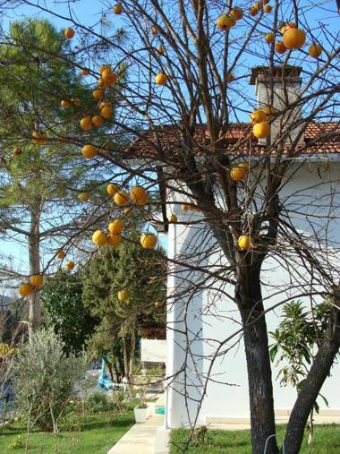 Beyaz Ev Agva - Adult only +15