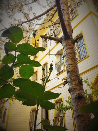 Ottoman's Pearl Hotel