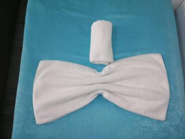 Nezahat Sultan Apart Hotel