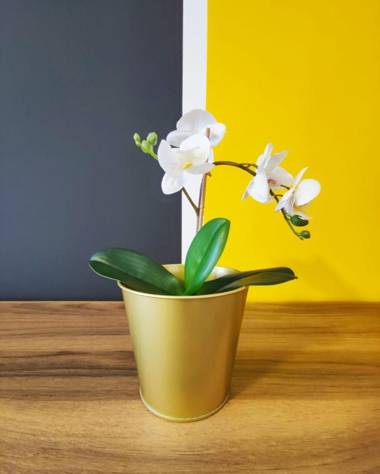 Intimate Studio Topkapi Palace