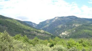 Jippe Ida Dag Evleri