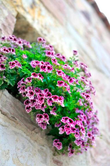 YundAntik Cunda Konaklari