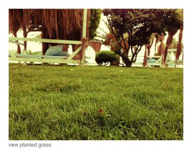 Hotel Erol - Adult Only