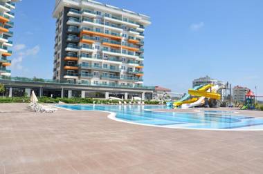 Siberland Olive Garden