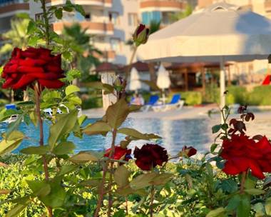 Comfort & Relax Home "Marine Holiday"