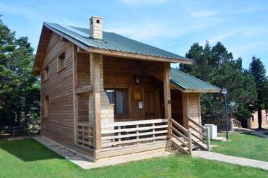 Uludag Orman Koskleri