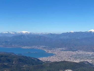 Room in Villa - Cheerfull Brand New 4 Bedrooms Villa with Pool