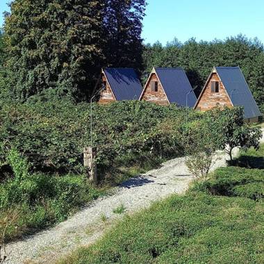 Oce Bungalow
