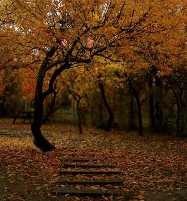 Miro Mara Boutique Hotel & Lounge Bar