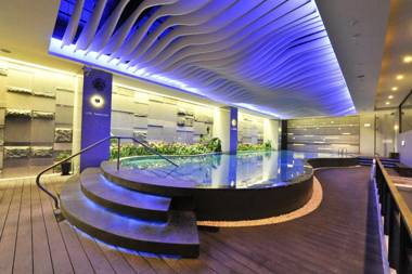 Golden Tulip - Aesthetics