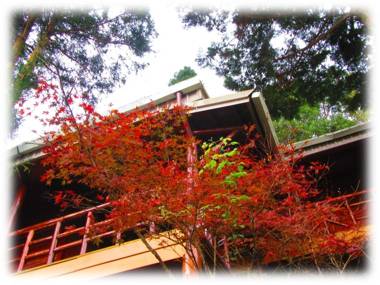 Da Kuan Peach Farm Resort