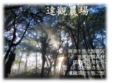 Da Kuan Peach Farm Resort