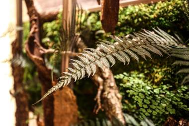 Dandy Hotel-Daan Park Branch