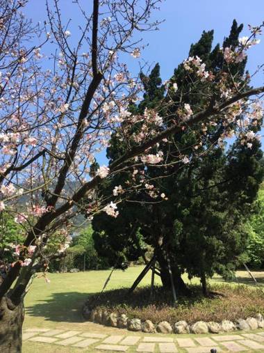 CHECK inn Select Taipei Yamgmingshan