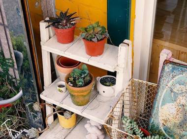 Sunnyrain Bed And Breakfast