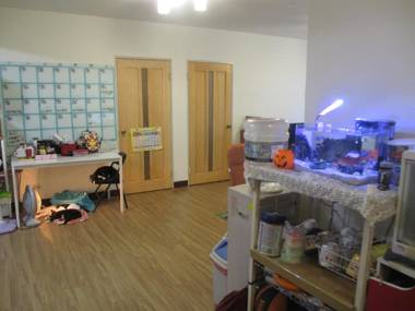 Cat's Family 喵窩雙人房