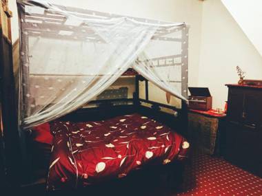 Small Eye Backpacker