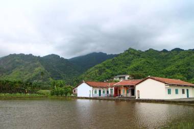 Yellow And Black Guest House