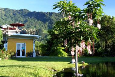 發現樹湖民宿 Tree Lake B&B Hualien