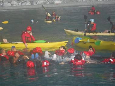 五葉松民宿-電梯民宿 近慈濟中小學及慈科大及人社院