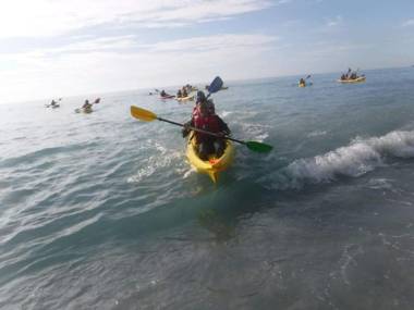 五葉松民宿-電梯民宿 近慈濟中小學及慈科大及人社院