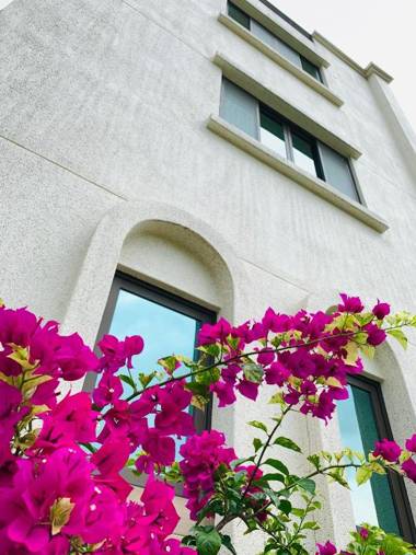 Jifun Flower Meanings