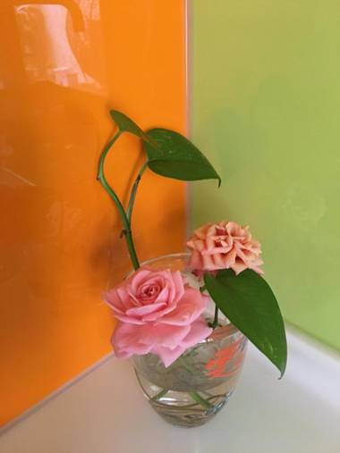 Bridge Bed and Breakfast