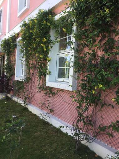 Lei Mi Er Hua Yuan Min Su