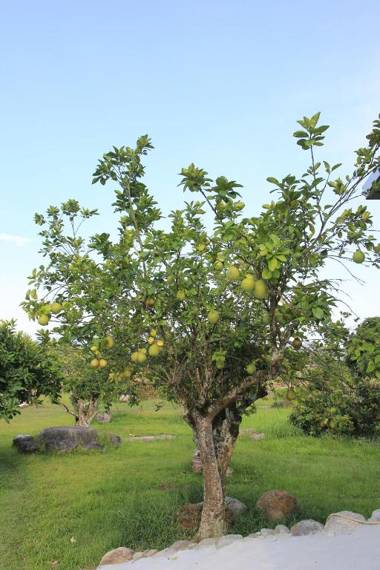 Jiang Shui Village B&B