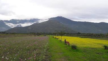 Kelly Field Homestay