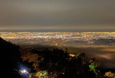 Starlight Forest B&B