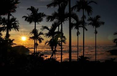 Starlight Forest B&B