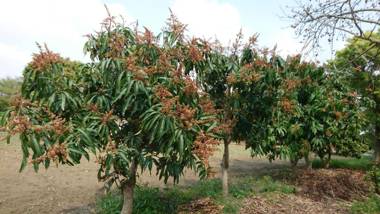 Sky Gift Traditional Farm B&B