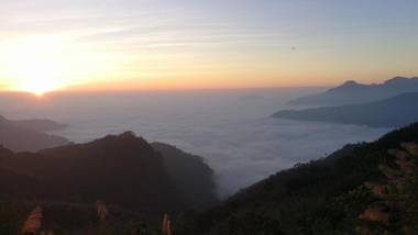 Alishan Tea Homestay