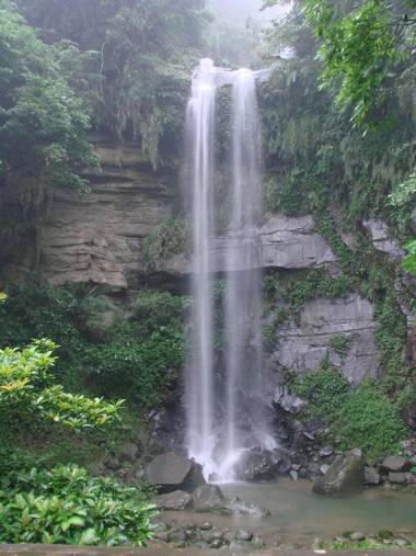Gaodiyuan Tea B&B 高帝園茶業民宿