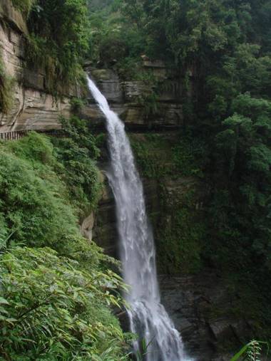 Gaodiyuan Tea B&B 高帝園茶業民宿