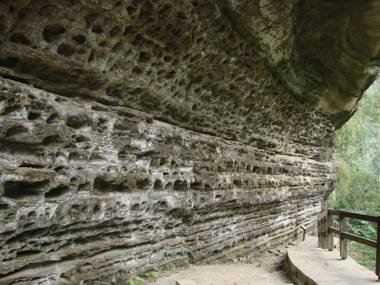 Gaodiyuan Tea B&B 高帝園茶業民宿
