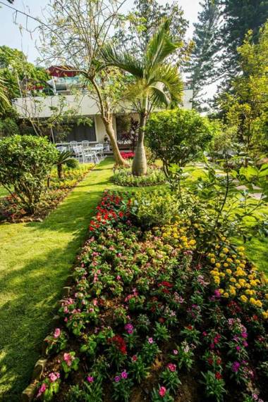 Xiaonanhai Garden Coffee Homestay