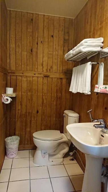 Golden Leather Carving Studio