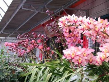 Ruili Ruitai Tea Factory BnB