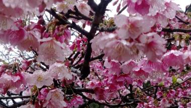 House of San Sia Ah Kuei